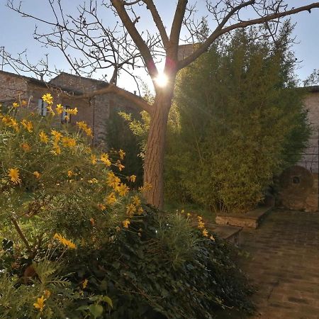 Assisi Hus Stanza Tripla In Appartamento Bagian luar foto